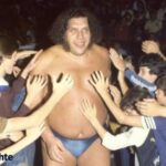andre the giant